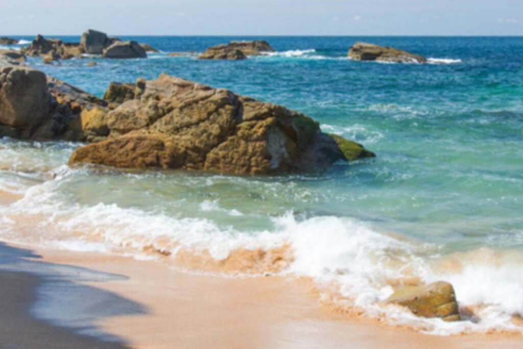 Le Petit Cote Ouest - Appt Dans Les Pins Pres De La Plage Les Sables-dʼOlonne Kültér fotó