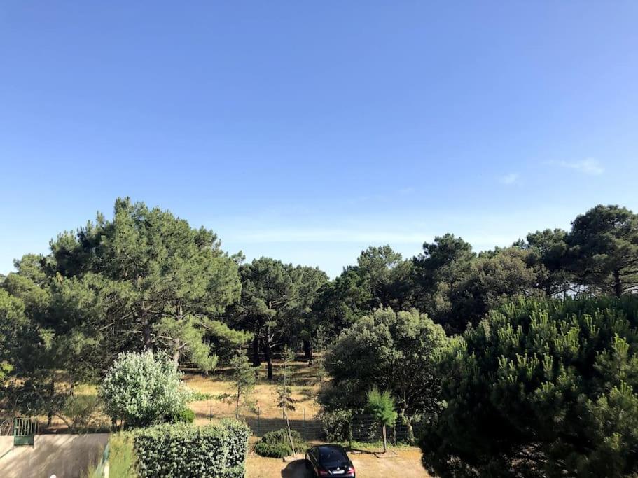Le Petit Cote Ouest - Appt Dans Les Pins Pres De La Plage Les Sables-dʼOlonne Kültér fotó
