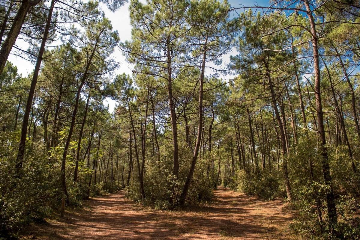 Le Petit Cote Ouest - Appt Dans Les Pins Pres De La Plage Les Sables-dʼOlonne Kültér fotó